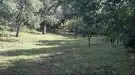 Borsod-Abaúj-Zemplén megye - Felsődobsza