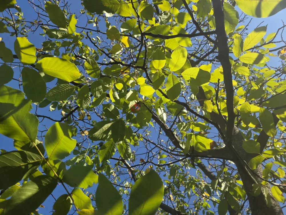 Borsod-Abaúj-Zemplén megye - Hejce