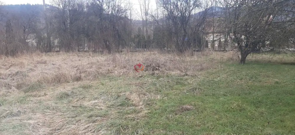 Borsod-Abaúj-Zemplén megye - Kovácsvágás