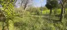 Borsod-Abaúj-Zemplén megye - Pere