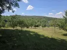 Borsod-Abaúj-Zemplén megye - Zsujta
