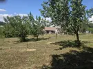 Borsod-Abaúj-Zemplén megye - Zsujta