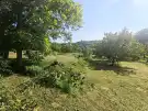 Borsod-Abaúj-Zemplén megye - Zsujta