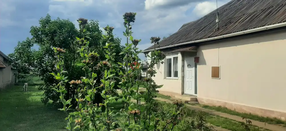 Borsod-Abaúj-Zemplén megye - Taktaszada