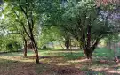 Borsod-Abaúj-Zemplén megye - Szerencs