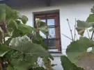 Borsod-Abaúj-Zemplén megye - Szerencs