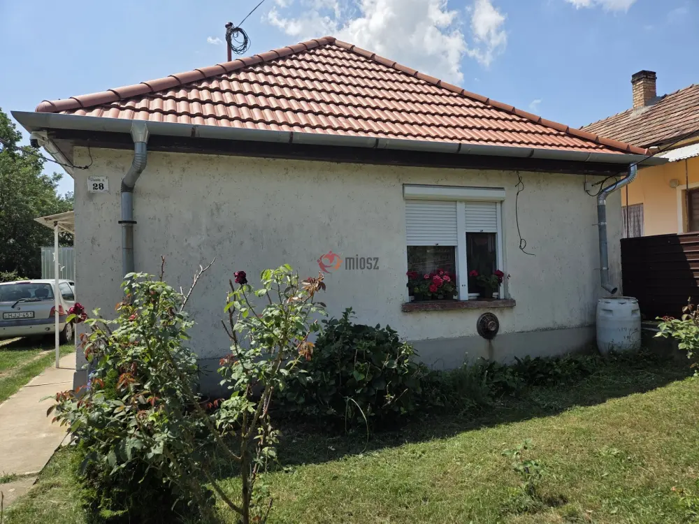 Borsod-Abaúj-Zemplén megye - Golop