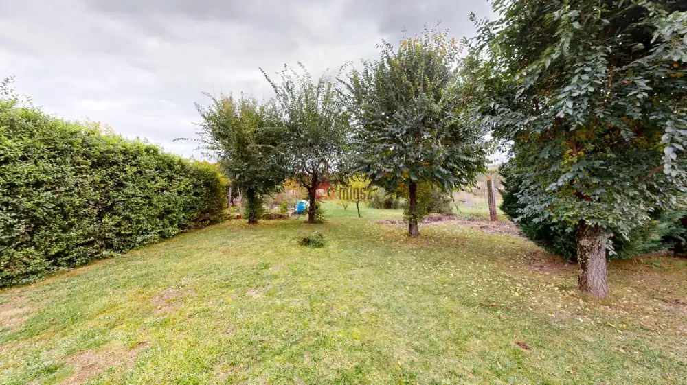 Borsod-Abaúj-Zemplén megye - Tarcal