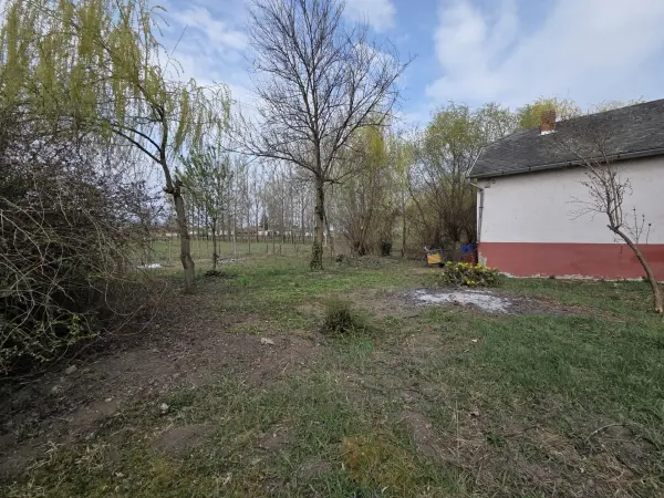 Eladó üzlet, Taktakenéz 28 m² 3.5 M Ft
