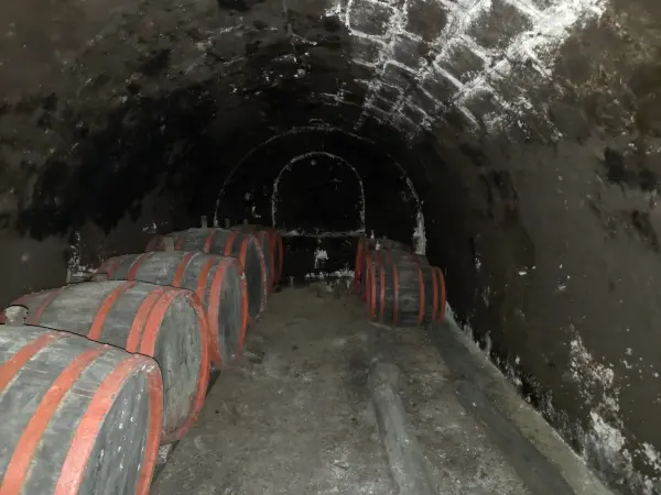 Eladó vendéglátás, Tarcal 40 m² 7.5 M Ft