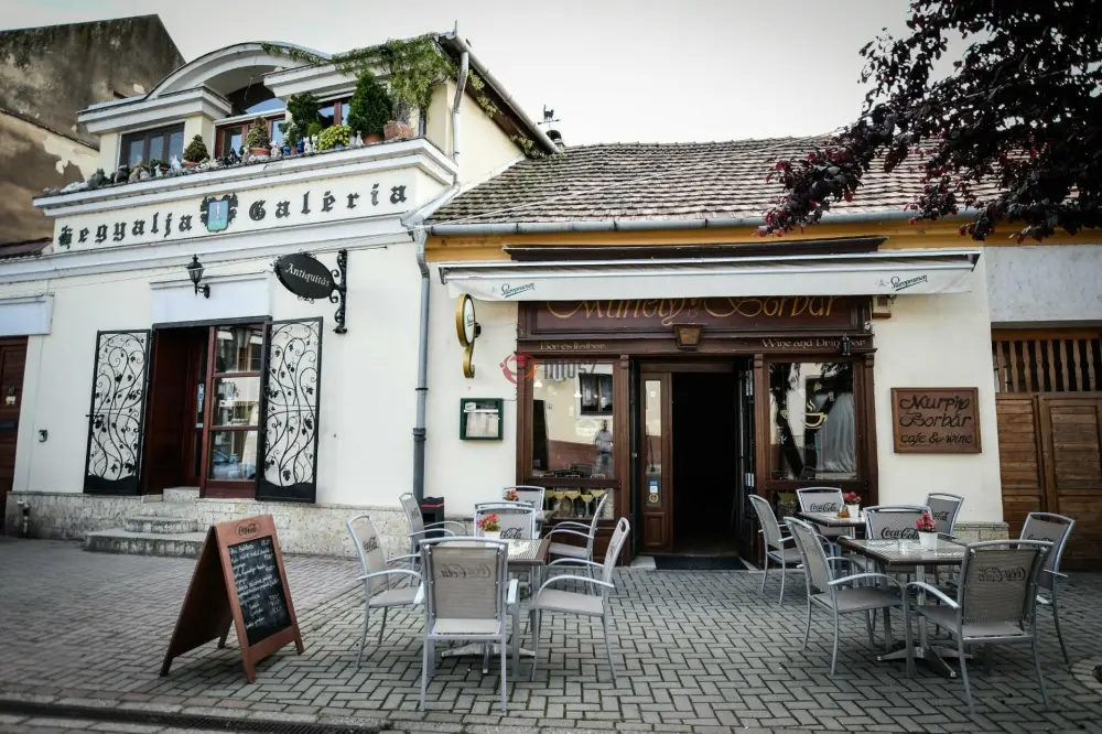 Borsod-Abaúj-Zemplén megye - Tokaj
